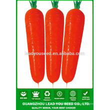 NCA012 Waiyan Black carrot seeds price china seeds